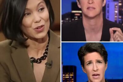 Alex Wagner Is ‘Upside Down with Excitement ‘ to Host Rachel Maddow’s MSNBC Time Slot 4 Nights a Week