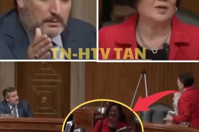 Democrat STORMS OUT After Ted Cruz DESTROYS Her with Savage Words—”You’re Part of the PROBLEM, Mazie!”