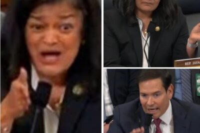 ‘Don’t Tell Me It’s Not Your Job!’—Jayapal and Rubio’s Heated Clash Over Deportation Erupts Into CHAOS!