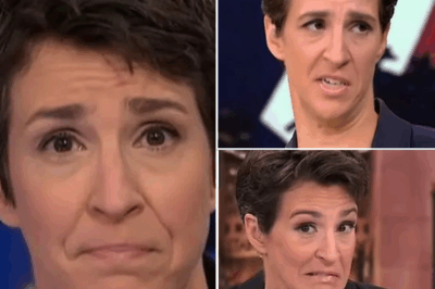 RACHEL MADDOW UNLEASHES EXPLOSIVE RANT After MSNBC Cuts Ties with Joy Reid and Multiple Hosts of Color—Viewers LEFT STUNNED by Her BLISTERING ATTACK on Executives! In a Jaw-Dropping Live TV Meltdown, Rachel Maddow Accused Her Own Network of Making Decisions She Called ‘Worse Than Bad,’ Triggering an Outrage Across Social Media. Fans and Critics Are Desperate to Understand the Hidden Motives Behind MSNBC’s Controversial Move. Why Did Maddow Risk It All to Publicly Speak Out, and How Will Network Executives Respond to This SHOCKING BETRAYAL? The Answers Will Leave You SPEECHLESS—Get the FULL, Explosive Behind-the-Scenes Story That Could Forever Change Cable News! READ NOW 👇