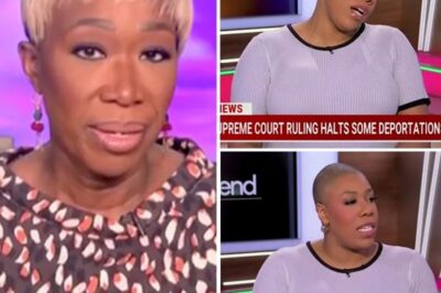 MSNBC HOST CAUSES OUTRAGE, SUGGESTS “PEOPLE OF COLOR” ARE NEXT AFTER MARYLAND ILLEGAL IMMIGR@NT DEP0RTED.