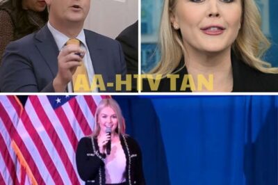 Trump Press Secretary Lashes Out at Reporter in Bizarre Tariff Defense