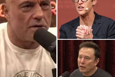 EXPLOSIVE MOVE: Joe Rogan to TAKE DOWN Rachel Maddow and SEIZE HER SPOT at MSNBC—The Shocking Shake-Up That Will DESTROY the Network’s Future!  With rumors swirling, MSNBC may be ready to replace its longtime star with Joe Rogan in a bold and risky decision. Is this a genius move or a desperate attempt to salvage a sinking ship? Find out what’s REALLY behind this shocking plot that could change everything at MSNBC! 👇🔥