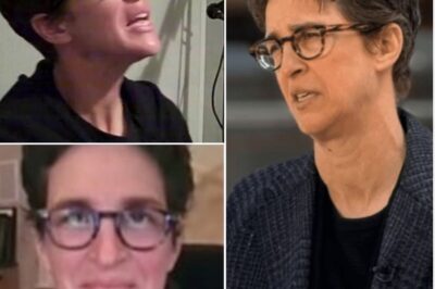 EXPLOSIVE DRAMA: RACHEL MADDOW’S CAREER IN FREEFALL—MSNBC’s New Boss Drops a DEVASTATING BOMBSHELL!