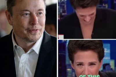 “Maddow is a relic, and it’s time to move on,” ELON MUSK TO CRUSH MSNBC WITH $5 BILLION DEAL—MADDOW’S EXIT IS JUST THE BEGINNING!