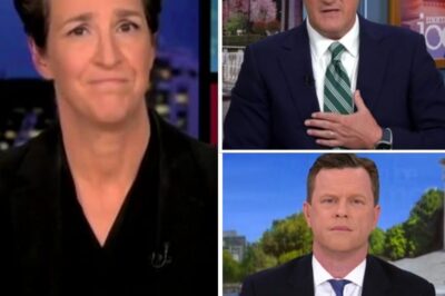 “SOUNDS LIKE MAGA HAS INFILTRATED MSNBC,” some insiders are claiming, as the network is plunged into unprecedented chaos. A storm is brewing within MSNBC, and it’s not the usual political drama they love to broadcast