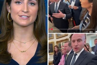 Stephen Miller WRECKS Kaitlan Collins in Less Than a Minute—‘You’re Not Even Worth My Time’—Can She Recover From This Public Humiliation?