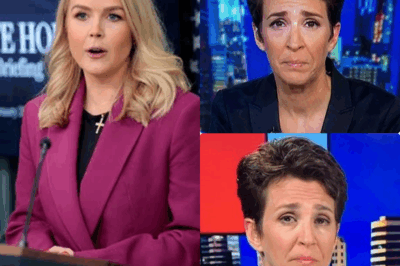 🚨 SHOCKING LIVE TV SHOWDOWN: Karoline Leavitt SLAMS Rachel Maddow with “How Could You Be So Stupid?”—A Brutal Confrontation That Left Viewers STUNNED! 😱 What began as a simple interview erupted into a fiery clash that left Maddow reeling. What did Leavitt say to provoke such an explosive response? This moment is setting the internet on fire