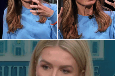 SHOCKING WHITE HOUSE MOMENT: Karoline Leavitt DOMINATES Fake News Reporter LIVE on Air—Her Unstoppable Defense of President Trump’s Constitutional Authority Sparks Outrage and Applause! What Was Said That Changed the Narrative in 10 Seconds?
