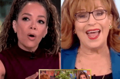 SHOCKING ON-AIR CLASH: Sunny Hostin vs. Joy Behar—The Fiery Exchange That Has The View Viewers Talking!