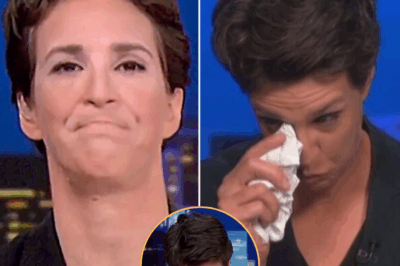 “MSNBC MELTDOWN: Ratings PLUNGE, Star Hosts FLEE, and Leadership SCRAMBLES to Stop the Bleeding—Is This the Beginning of the End for the Network Once Called ‘Unshakable’?” With Viewership COLLAPSING and Flagship Shows Like The Rachel Maddow Show Losing Their Grip, MSNBC Is Facing a Full-Blown Identity Crisis. Behind Closed Doors, Executives Are Desperately Rewriting Strategy to Save the Brand. But Can They Reclaim Relevance Before It’s Too Late? Full Breakdown Below 👇
