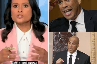 EXCLUSIVE, Watch Cory Booker Get Angry as NBC Host Calmly Corrects His Lie