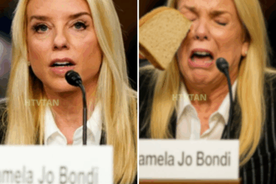 EXCLUSIVE, Pam Bondi PANIC After Being Caught Breaking the Law in Congress