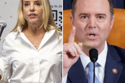 EXCLUSIVE, 'I Can't Believe You're Asking Such A Question!': Pam Bondi And Adam Schiff Have Shock Clash