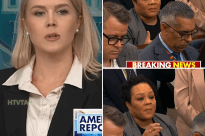 EXCLUSIVE, 'Ridiculous question': Leavitt torches NBC reporter