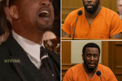 EXCLUSIVE, Finally, the truth has been revealed: Diddy PANICS in the courtroom as an explosive audio of him with Will Smith and Meek Mill leaks to the public. The entire room fell silent as Diddy’s control slipped, and his hidden secrets began to unravel. What was said in this heated exchange that has Diddy on the edge? The stakes couldn’t be higher—this audio could change everything we thought we knew about the industry’s most powerful figures