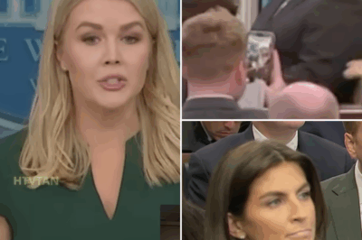 EXCLUSIVE, WOW Karoline Leavitt Snaps At CNN After Kaitlan Collins Flirts With Democrat During Press Conference