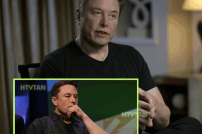 EXCLUSIVE, Elon Musk Goes FULL PANIC As Europe Tesla Sales Nosedive In Crushing Death Spiral