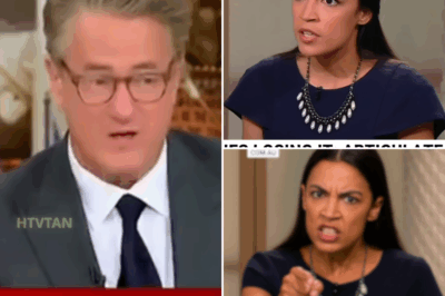 EXCLUSIVE, THIS JUST HAPPENED: Rita Panahi OBLITERATES Joe Scarborough LIVE – Unbelievable On-Air Takedown Over His Controversial Support for AOC Leaves Viewers Stunned! In an explosive live TV showdown that has everyone talking, Sky News host Rita Panahi completely obliterated MSNBC’s Joe Scarborough after his unabashed defense of Democrat Congresswoman Alexandria Ocasio-Cortez. As the debate heated up, Panahi’s sharp words and blistering critique took the entire conversation to a whole new level, leaving Scarborough visibly rattled and the audience in disbelief. But that wasn’t all—Panahi’s shocking revelations about AOC’s policies and Scarborough’s blind allegiance have sent shockwaves through both the media and political worlds. What ignited this unexpected on-air war of words, and what does this confrontation mean for their careers moving forward