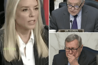 EXCLUSIVE, THIS JUST HAPPENED: Pam Bondi Claims Trump DIDN’T Ask Election Official to Find Him Votes – The Controversial Statement Shakes the Media! In a heated moment, Pam Bondi fiercely defended Donald Trump, stating that he never asked an election official to “find him votes” as alleged in previous reports. Her strong denial has ignited a media frenzy, with supporters and critics alike debating the accuracy of her claim. What led to this dramatic statement, and how will it affect Trump’s legal and political battles? The explosive fallout from this revelation is leaving everyone talking