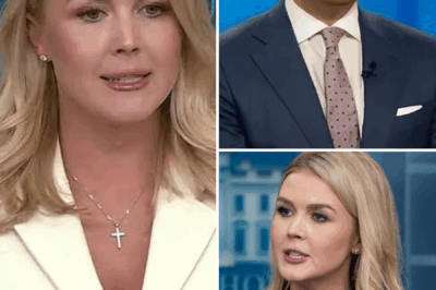 Karoline Leavitt DESTROYS Gabe Gutierrez in Explosive TV Showdown—“You Can’t Argue with Willful Ignorance!” Watch the Jaw-Dropping Moment That Left the NBC Anchor Speechless and Viewers in Shock! What Happened Next Will Have You Questioning Everything.