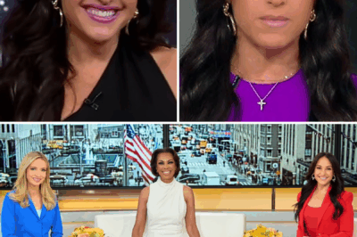 Emily Compagno disappears after live mic disaster — sudden blackout stuns viewers as Fox News goes silent. No warning. No trace. One explosive moment aired… then she vanished. Fans are demanding answers, insiders are leaking secrets, and a chilling theory is spreading fast. Who’s behind the cover-up—and is this the end of Compagno at Fox? Watch what really happened below 👇👇👇