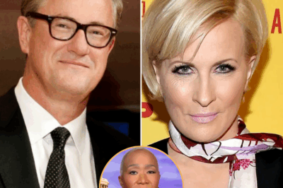 BREAKING: MSNBC’s TWO Biggest Stars SURVIVE Network BLOODBATH—The Biggest Twist of the Shakeup Is Finally CONFIRMED! As Firings and Ratings Freefall Rock the Network, Viewers Are Stunned to Learn Who Made the Cut—and Why. The Decision No One Saw Coming Has Just Been Revealed… and It Changes EVERYTHING. 🚨 Full Shocking Details in the Comments 👇👇