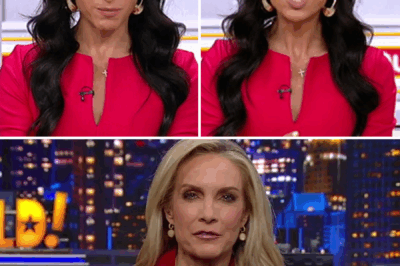 Breaking news: Emily Compagno mysteriously vanishes from Fox News after a shocking live mic disaster. Fans are reeling as a sudden blackout silences the airwaves, leaving millions in stunned silence. Was this the breaking point? After an explosive on-air clash, Emily disappears without a trace, sparking rumors and wild speculation. Sources are leaking jaw-dropping details, and a controversial theory is spreading fast. Did Compagno walk away on her own, or was something more sinister at play? The truth is rapidly unraveling, and viewers are demanding answers!