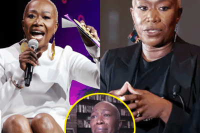 MSNBC’s Brutal Ax Falls: Joy Reid’s Nightly Show Vanished in a Shocking Overhaul—Is She Spiraling Into Chaos Over a Hidden Scandal?