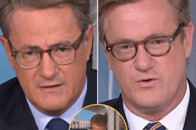 BETRAYAL AT MAR-A-LAGO: HOW MSNBC’S MORNING JOE HOSTS SHATTERED VIEWER TRUST AND SPARKED A MEDIA FIRESTORM! In a shocking betrayal that no one saw coming, the hosts of MSNBC’s Morning Joe have left viewers reeling after a controversial moment at Mar-a-Lago. What began as a routine broadcast quickly spiraled into a heated confrontation that shattered the trust of their loyal audience. The fallout from this media storm is igniting debates across the country, and insiders are questioning how deep the divide goes. What happened behind the scenes at Mar-a-Lago, and why is this scandal shaking the very foundation of MSNBC? The answers are now being exposed—prepare for the explosive details! 👇👇👇
