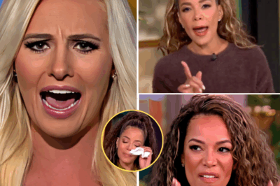“GOD, YOU SHOULD SHUT YOUR MOUTH” – TOMI LAHREN FIRES BACK LIVE ON AIR: SUNNY HOSTIN TEASES HER FAMILY TREE, THEN TOMI DROPS A BOMBSHELL THAT FREEZES THE STUDIO AND LEAVES THE HOSTS SILENT! In a shocking moment on live TV, Tomi Lahren erupted when Sunny Hostin teased her family background, leading to an unforgettable response. “God, you should shut your mouth,” Lahren shot back, but it wasn’t just her words—it was what she revealed next that left the entire studio in stunned silence. The chilling truth Lahren dropped not only shocked the hosts but also had them frozen in fear. What did Tomi expose that changed everything? The explosive details are unfolding right here! 👇