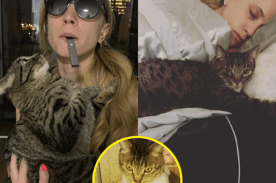 JAW-DROPPING MIRACLE! Kat Timpf’s Cat Cheens SAVES Her LIFE in a Spine-Chilling Twist!  In an unbelievable turn of events, Kat Timpf’s beloved cat, Cheens, becomes her unexpected lifesaver after a simple cuddle exposes a deadly lump, ultimately catching breast cancer before it could take her life. “It’s a SUPERNATURAL gift!” raves an insider. But as whispers of a hidden force guiding Cheens swirl, eerie rumors raise the stakes. Was this just a miracle, or is something darker behind this incredible escape from death?