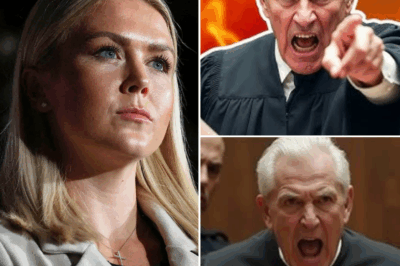 KAROLINE LEAVITT SAYS “TOO LATE!”—$800M LAWSUIT AGAINST JUDGE WHO FINED HER MOVES FORWARD! 😱 In a bold and fiery statement, Karoline Leavitt has made it crystal clear: “TOO LATE!” Her words came as confirmation that the explosive $800 million lawsuit against the judge who fined her is not going anywhere. The legal battle is heating up, and Leavitt’s defiant stance shows she’s ready to take on the system. What led to this major lawsuit, and how will it impact the judge and the future of justice? The full story behind this high-stakes battle is unfolding now. 👇👇👇
