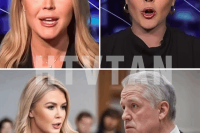 BREAKING: Karoline Leavitt Drops $800M Bombshell Lawsuit on Judge—“TOO LATE!” She Declares in Fight for Faith and Freedom