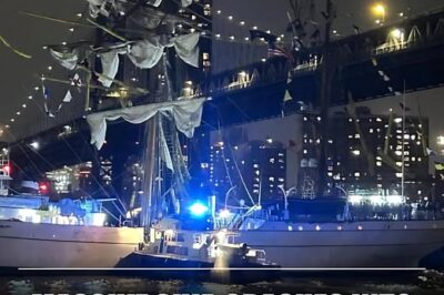 EXCLUSIVE, A huge ship with over 200 passengers crashed into the Brooklyn Bridge on Saturday night as cars unknowingly drove overhead. The ship, which donned a large Mexican flag, had a gigantic 147-foot mast and a crew of 277, according to a report by the New York Post. – .com