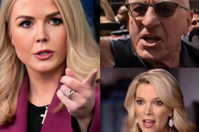 EXCLUSIVE, BREAKING NEWS: An 81-Year-Old Hollywood Legend Roars Like a Real-Life ‘Godfather’ in Fiery Fox News Clash With 27-Year-Old Gen Z Spokesperson—But She Stuns Viewers by Using His Own Past Against Him, Shattering His Legacy in Just 3 Jaw-Dropping Minutes in America’s Most Dramatic TV Moment This Week!  See the unbelievable clip everyone’s talking about in the comments below  –