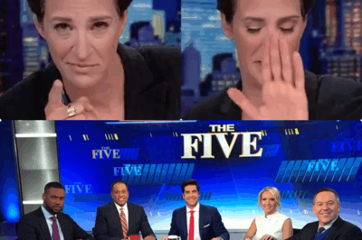 want to miss are unfolding now!  MEDIA EARTHQUAKE!  FOX NEWS’ AUDACIOUS BID TO SNAG RACHEL MADDOW FROM MSNBC’S COLLAPSE—SECRET DEAL THREATENS TV APOCALYPSE! Rachel Maddow’s potential leap to Fox amid MSNBC’s contract meltdown sparks global CHAOS! #MaddowFoxShock DETONATES! Is this a CAREER BETRAYAL or a CUNNING media coup? Plunge into this JAW-DROPPING, HEART-POUNDING saga reshaping the airwaves! Watch below!