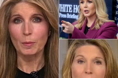 LIVE TV SHOWDOWN: Nicolle Wallace ERUPTS After Karoline Leavitt’s SAVAGE Retort—The Explosive Confrontation That LEFT Viewers JAW-DROPPED! What did Leavitt say to push Wallace to the breaking point on-air?  A seemingly typical interview on MSNBC quickly spiraled into chaos as Nicolle Wallace lost all control after Karoline Leavitt’s brutal and direct response. Wallace’s emotional outburst left viewers speechless, while Leavitt’s calm yet cutting remarks only fueled the fire. The studio was left in stunned silence, with fans at home left questioning what truly set off Wallace’s fiery reaction.  This moment is not to be missed—click here to read the full article and find out what happened next!