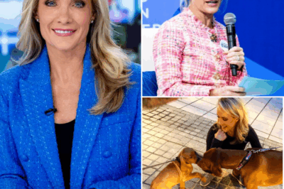 Dana Perino VANISHES from Fox News—Fans Alarmed by Her Sudden Absence from “America’s Newsroom” and “The Five”! Viewers were left stunned as Dana Perino suddenly disappeared from both America’s Newsroom and The Five without warning. Loyal fans are flooding social media with concern, demanding answers. What’s really going on behind the scenes at Fox News? Is this a personal emergency, a quiet exit, or something far more complicated? The full story behind her unexpected absence is unfolding—get the details in the first comments 👇