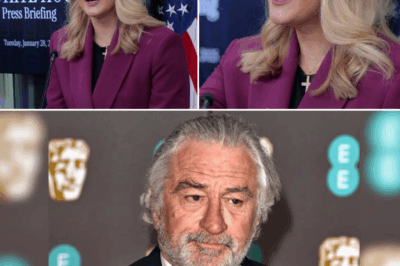 SHOCKING LIVE TV SHOWDOWN: 81-Year-Old Hollywood Legend Takes On 27-Year-Old Karoline Leavitt—Her 3-Minute Takedown Shatters His “Godfather” Image!** In an unforgettable moment on live TV, Karoline Leavitt delivered a powerful 3-minute takedown of an 81-year-old Hollywood icon, leaving viewers stunned and social media in a frenzy. What began as a heated discussion quickly turned into a fierce verbal showdown, with Leavitt shattering the legendary figure’s carefully crafted “Godfather” image. What did she say that had the entire studio and online world buzzing? Full details below 👇👇👇