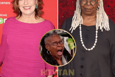 ARE JOY BEHAR AND WHOOPI GOLDBERG BEING FIRED FROM THE VIEW? JOY BREAKS HER SILENCE ON THE RUMORS AND REVEALS THE TRUTH