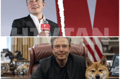 ELON MUSK FIRES BACK AT TESLA SHAREHOLDERS CRITICIZING HIS ABSENCE—Why Is He Prioritizing DOGE Over Tesla Amid Stock Plummet?