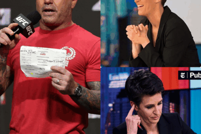 MSNBC SHOCKER: Joe Rogan to OUST Rachel Maddow in Explosive Network Reboot?! A stunning upheaval at MSNBC fuels wild rumors of Joe Rogan seizing Maddow’s spot! What’s sparking this jaw-dropping shakeup, and what’s next for the network? Dive into the electrifying drama!