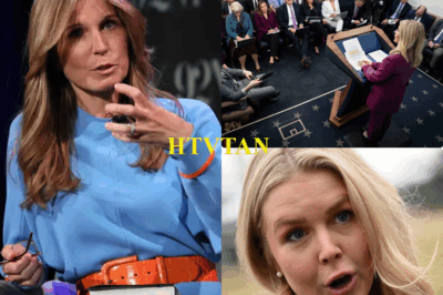 MSNBC CHAOS UNLEASHED: Nicolle Wallace CRUMBLES in Explosive On-Air Meltdown After Karoline Leavitt’s Savage Retort! Leavitt’s bold comeback sent shockwaves, triggering Wallace’s unhinged rant that stunned the audience and lit the internet on fire! What sparked this jaw-dropping frenzy? Discover the electrifying drama rocking TV!