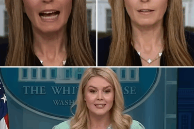 LIVE TV SHOCKER: Nicolle Wallace ERUPTS After Karoline Leavitt’s Blistering Retort—What Happened On-Air Left MSNBC Viewers Stunned and Producers Scrambling