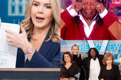 VIDEO: Karoline Leavitt’s Historic $800 Million Legal Victory Leaves The View Reeling – The Final Blow to Legacy Daytime TV?