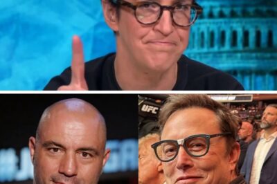 HOT: Joe Rogan set to replace Rachel Maddow at MSNBC after a shocking network overhaul.