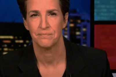 Absolutely blowing it’: MSNBC’s Rachel Maddow shares key lesson of Trump’s first 100 days