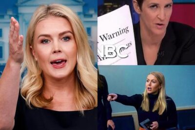 In a tense and highly charged exchange, Karoline Leavitt clashed with Rachel Maddow in a heated debate that quickly escalated into a war of words.
