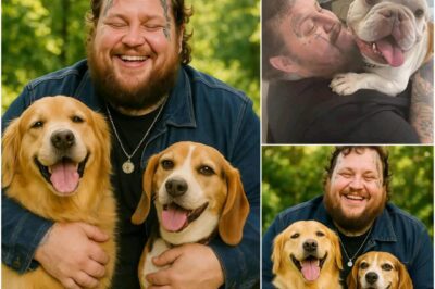 Jelly Roll ignites the web with a shocking announcement: he will invest 20 million dollars to build a ‘paradise’ dedicated to rescuing stray dogs, promising love and a home to thousands of abandoned puppies. This bold philanthropic project not only reflects Jelly Roll’s love for animals but also demonstrates his profound commitment to creating positive change after achieving success in his music career. Those close to the singer reveal that this idea has been long in the making, stemming from when Jelly Roll rescued a stray dog as a child—a memory that has stayed with him throughout his life and ultimately inspired this extraordinary investment. Back by popular demand! I know this one’s not for everyone, but for those who loved it, it’s available again. Who’s grabbing one?